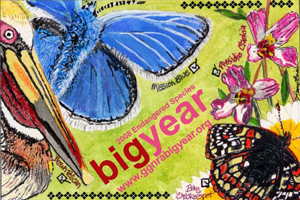 Big Year postcard