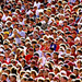 overpopulation