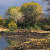 San Pedro River