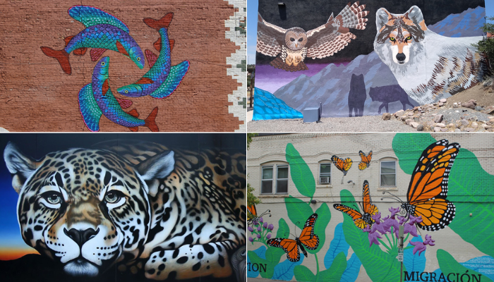 Photos of four murals showing a jaguar, monarch butterflies, fish, a Mexican wolf, and a spotted owl