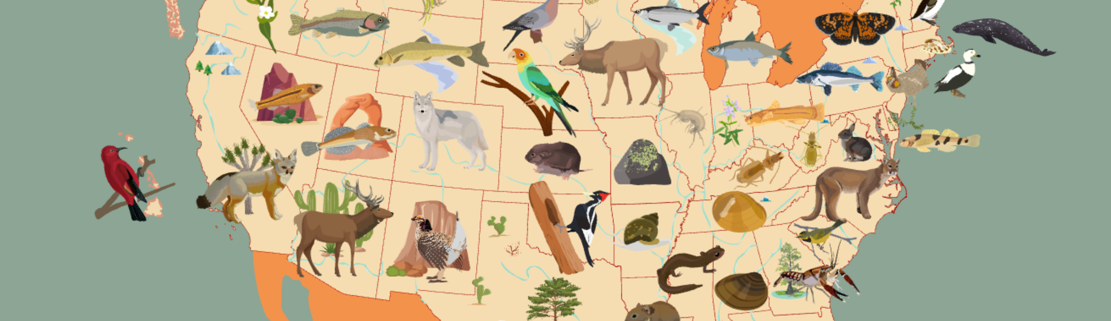 Extinction map graphic