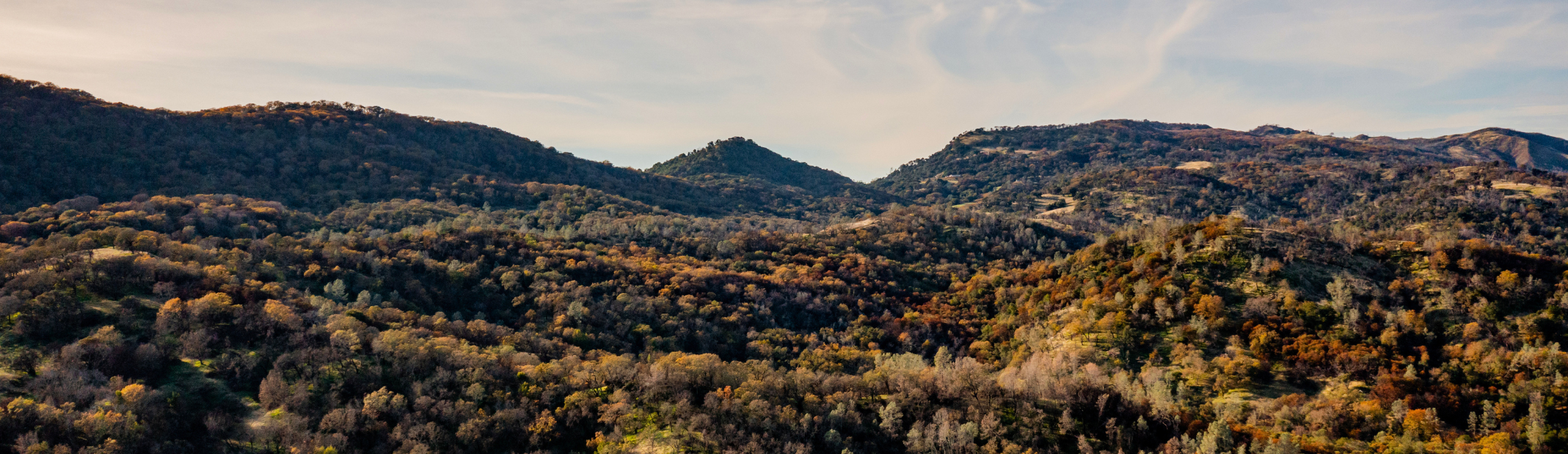 Rolling hills at Walt Ranch in California
