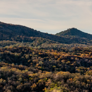 Shrubby hillsides near sunset