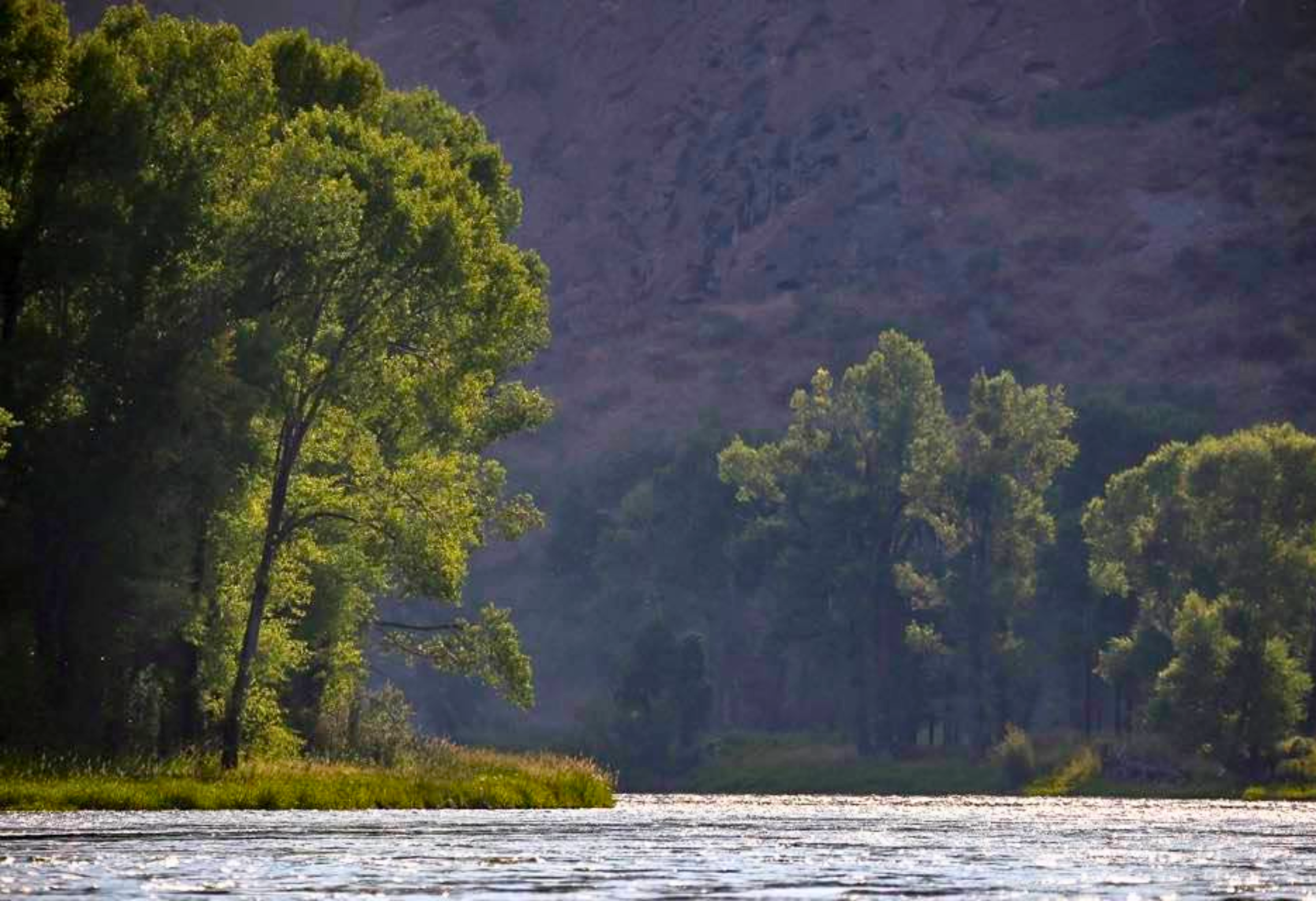 Snake River and Swan Valley