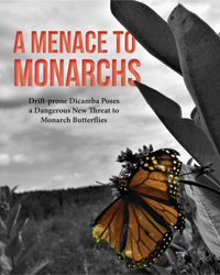Dicamba: A Menace to Monarchs