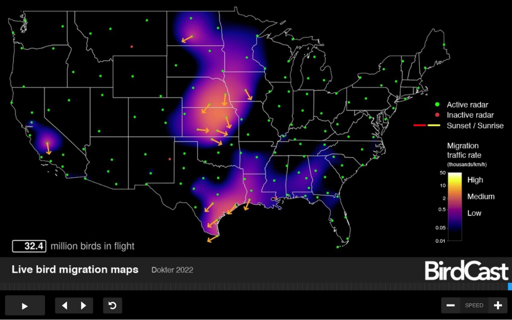 screenshot of a black map of the United States showing where birds are migrating at a given time