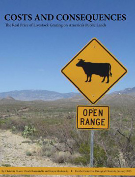 Costs and Consequences