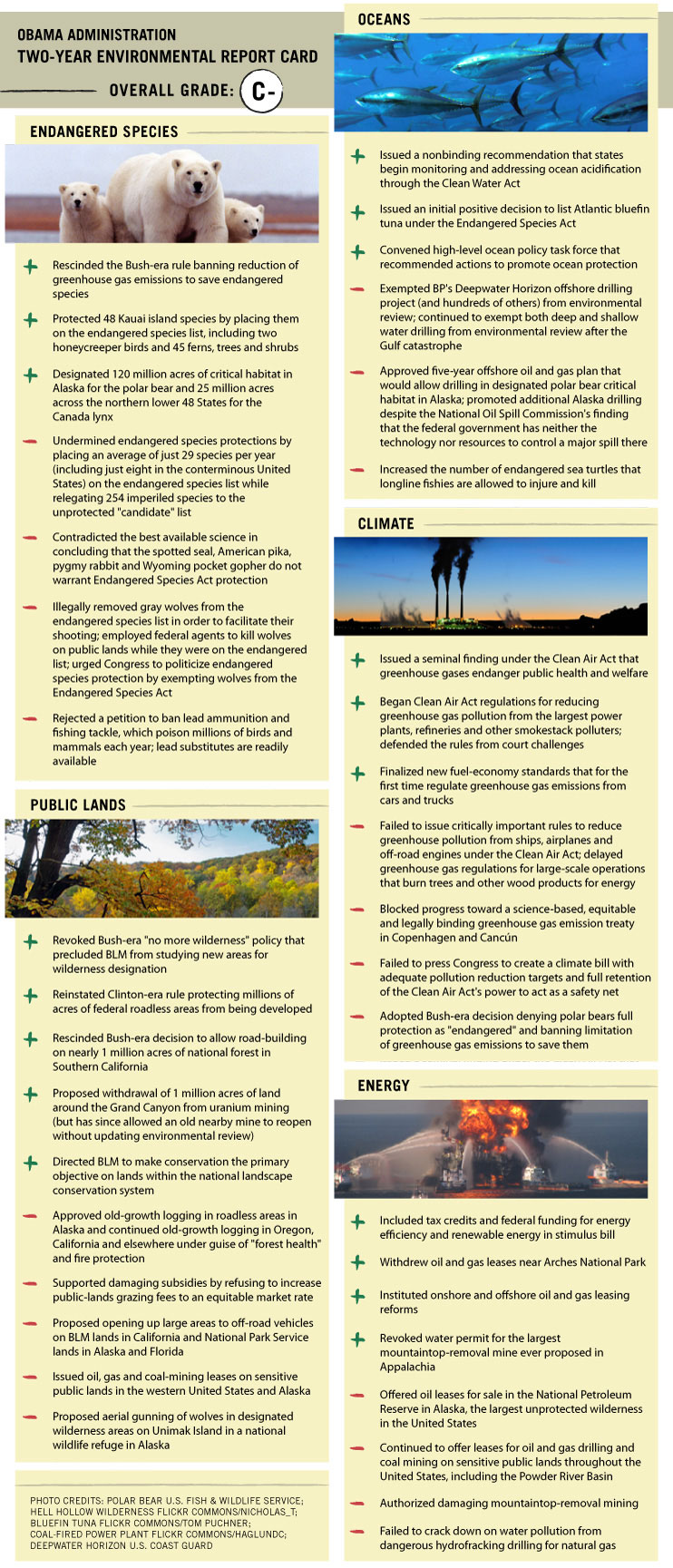 Report card
