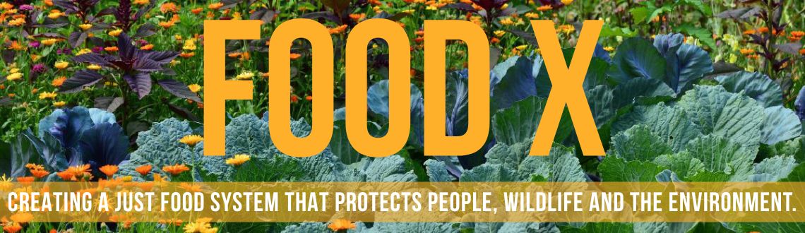 Food X sustainable food newsletter banner