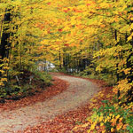 Green Mountain National Forest in Vermont