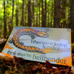 Hellbender Endangered Species Condoms