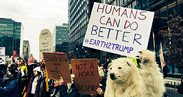 Frostpaw at Womens March on Washington