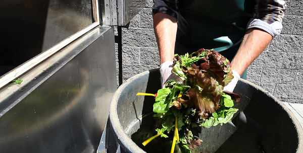 Food waste