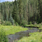 Arizona's White Mountains