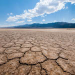 Parched landscape