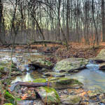 Rock Creek Park