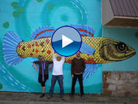 Watercress darter mural in Birmingham, Ala.