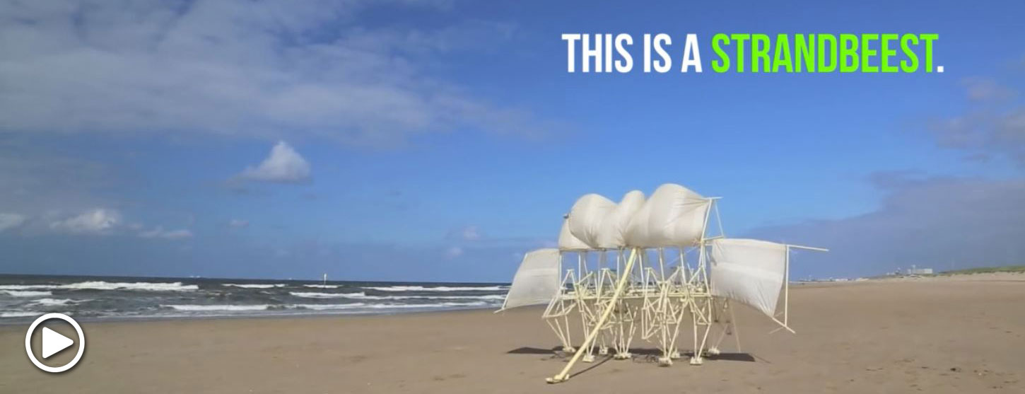Strandbeest
