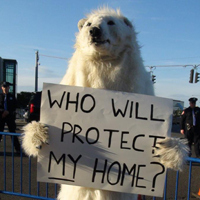 Frostpaw