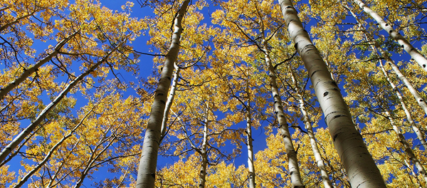 Sunset Roadless Area, Colorado