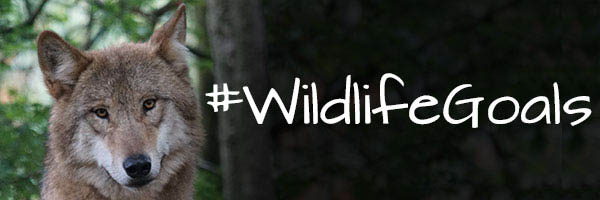 #WildlifeGoals
