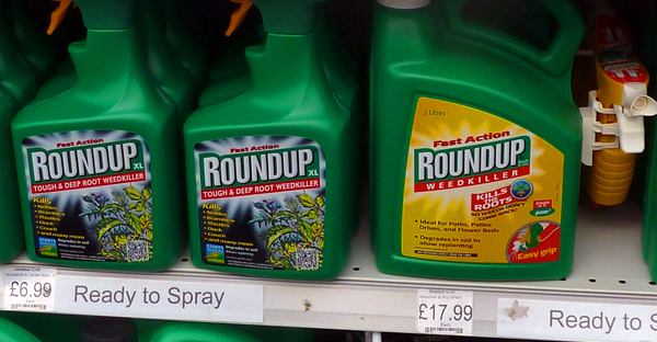 Bottles of Roundup