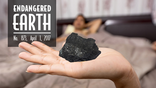 Sweet, sweet coal