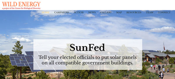 Wild Energy website
