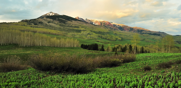 Gunnison National Forest
