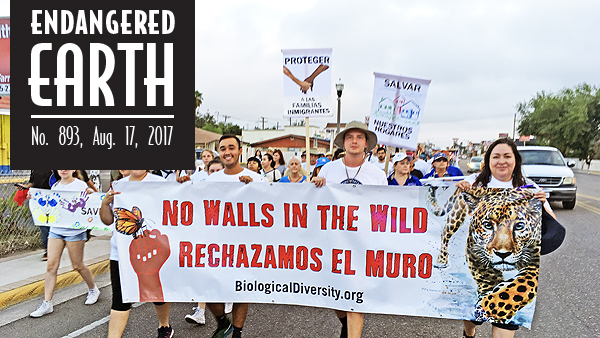 Border wall protest in Texas