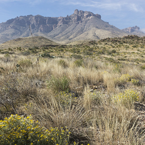 Big Bend National Park