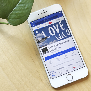 Phone displaying Center Facebook page