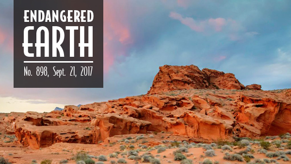 Gold Butte National Monument