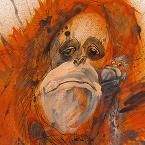 Detail of orangutan illustration by Ralph Steadman