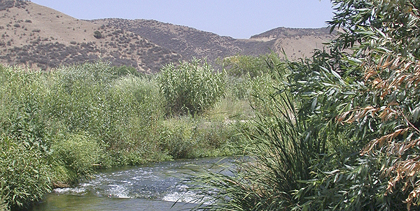 Santa Clara River