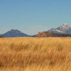 Grassy valley with mountains in the background