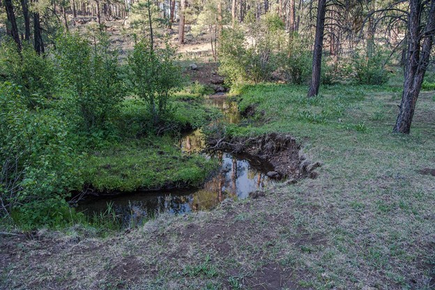 Boggy Creek