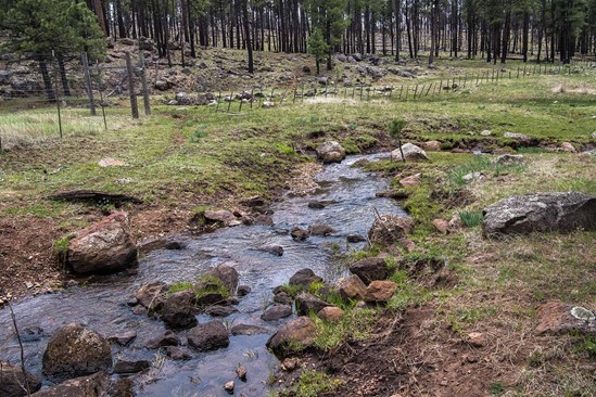 Centerfire Creek