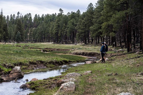 Centerfire Creek