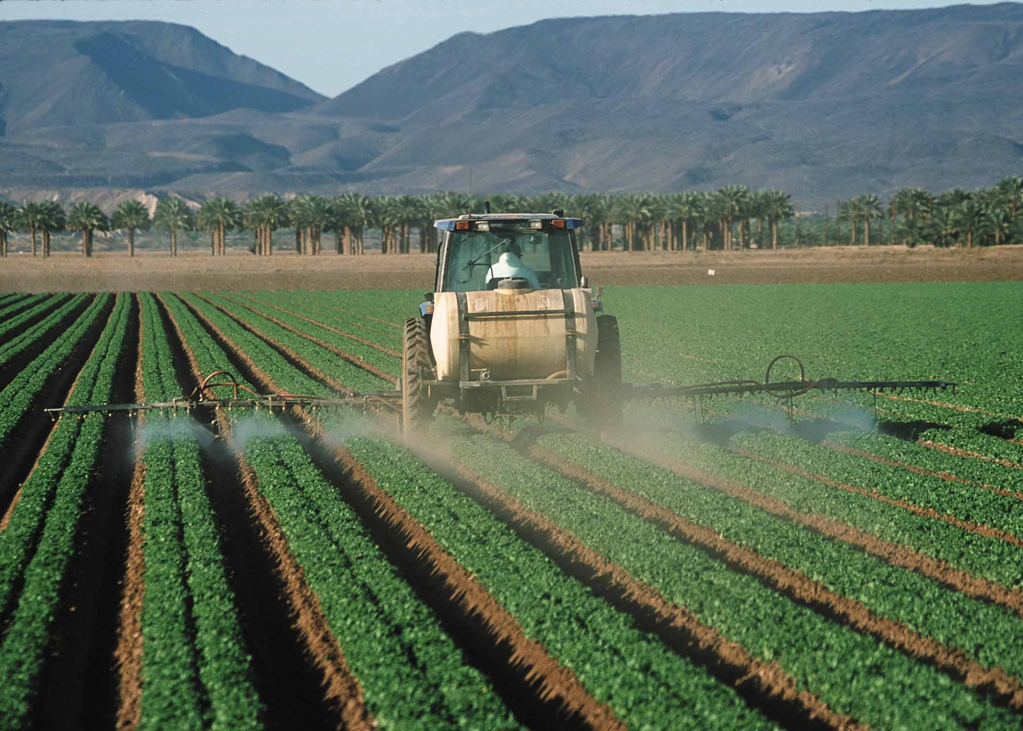 intensive farming pesticides